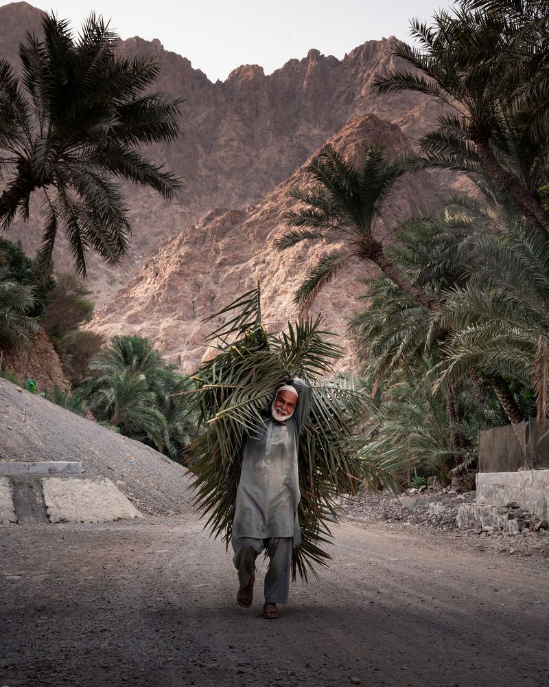 Фотография автора Kimia Shad