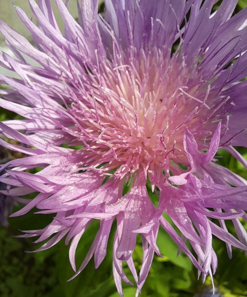 Photograph by Ольга Березовская