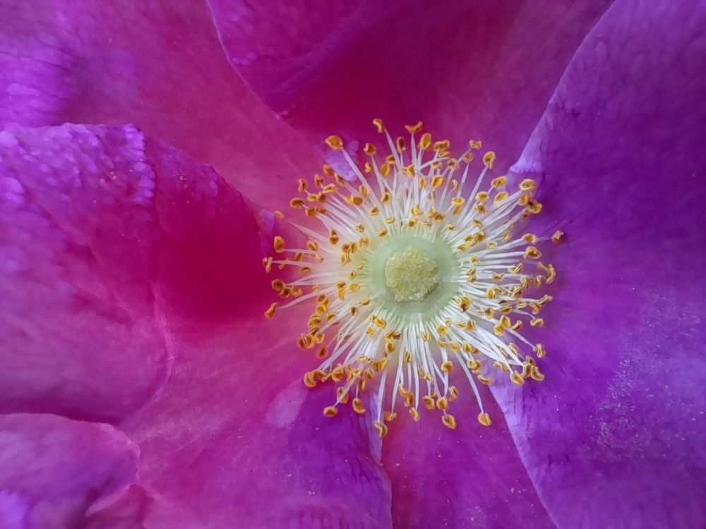 Photograph by Ольга Березовская