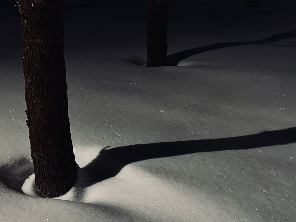 Photograph by Ольга Барулина