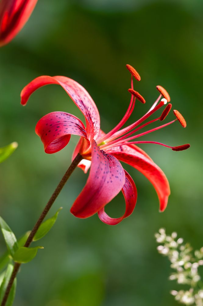 Фотография автора Dmitry Finkel