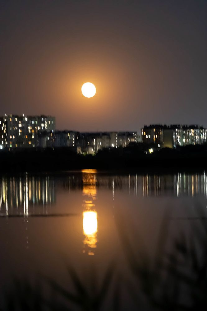 Photograph by Юлия Синицына