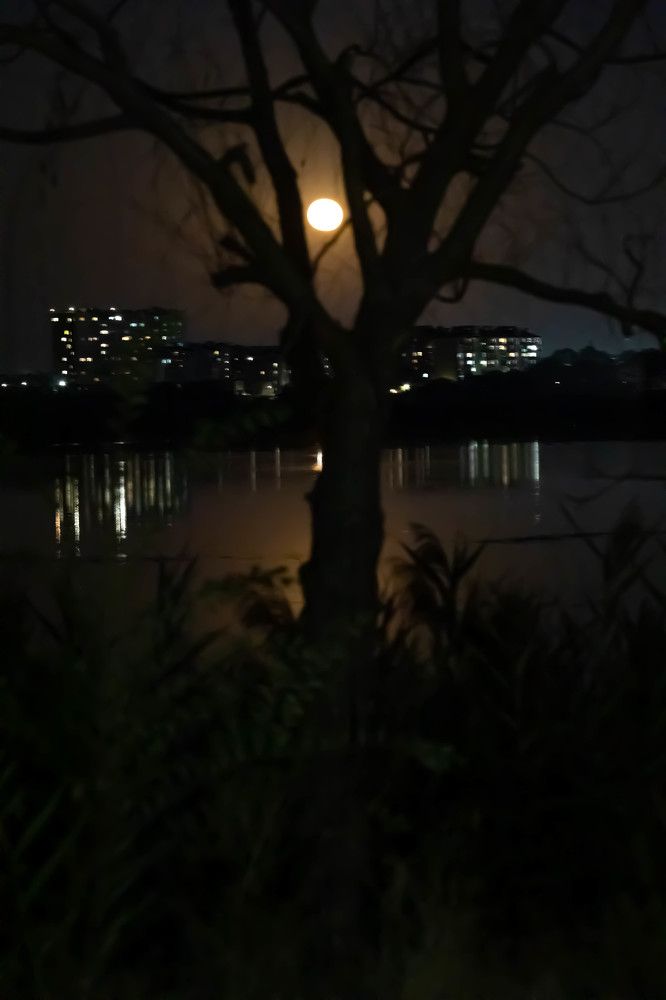 Photograph by Юлия Синицына