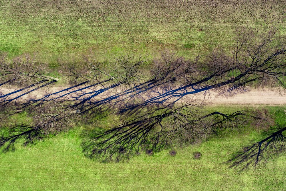 Photograph by Сергей Морозов