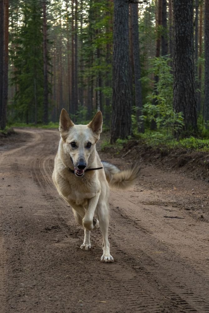 Photograph by Мария