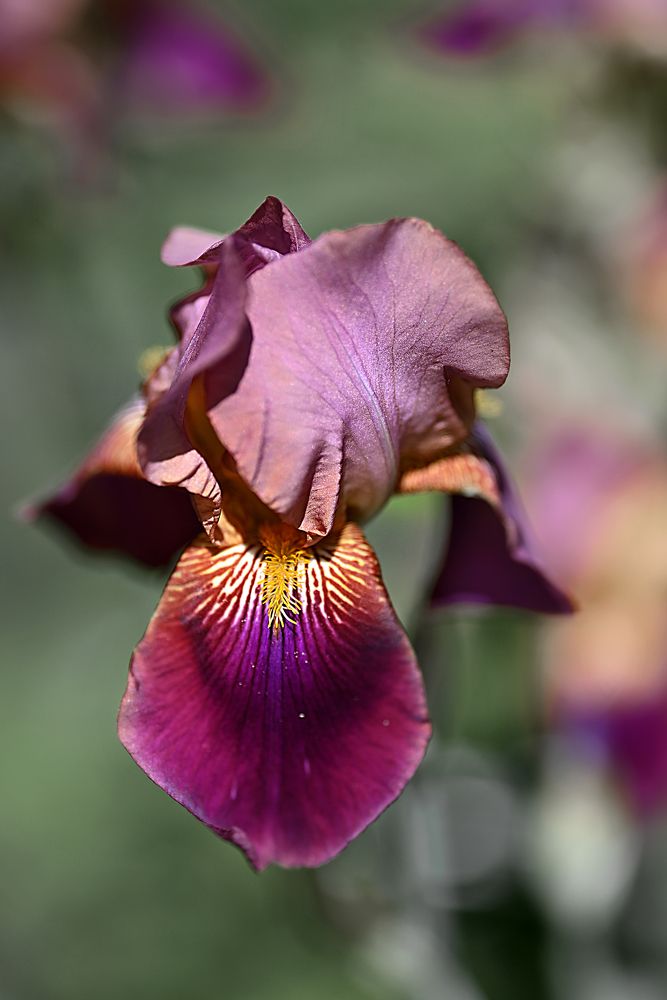 Фотография автора Mila Oreshkina