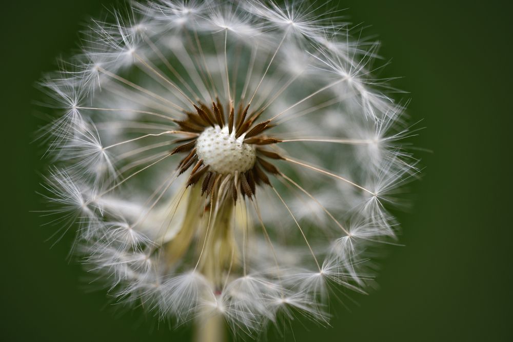 Фотография автора Mila Oreshkina