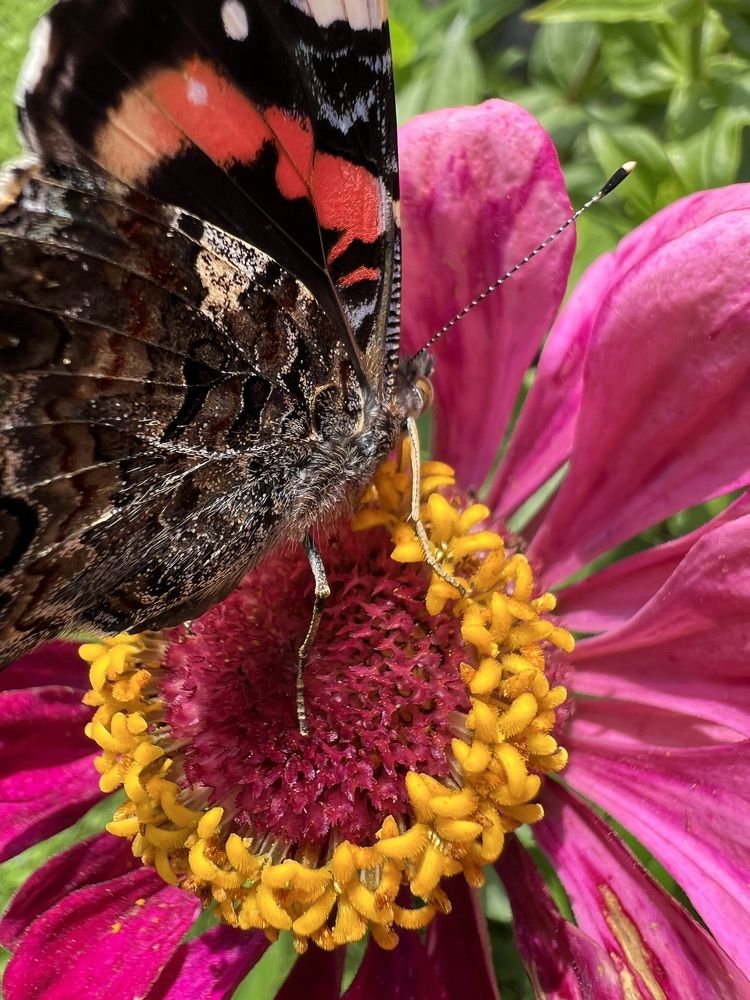 Photograph by Анастасия Германова