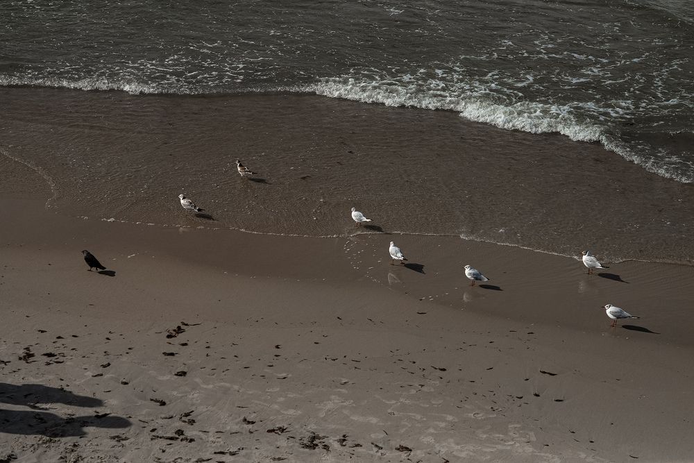 Photograph by Маргарита Матвеенкова