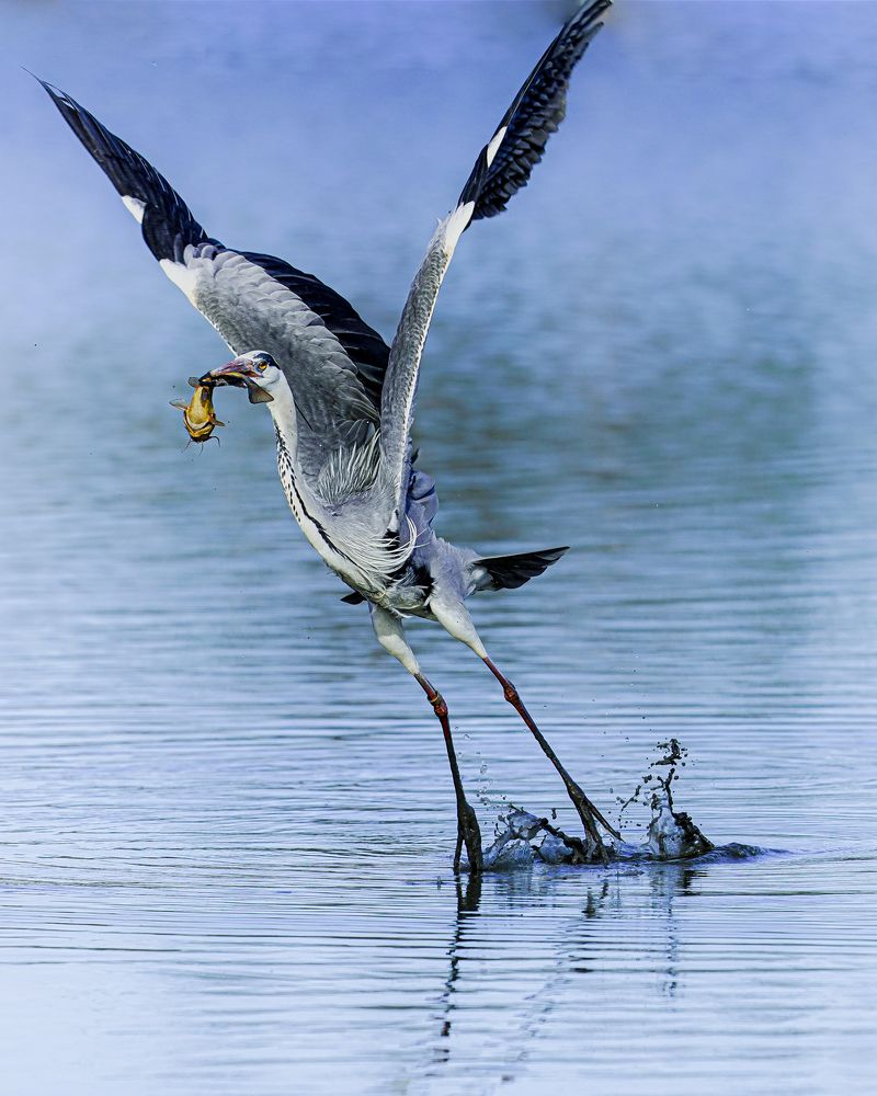 Фотография автора Оксана Дорн