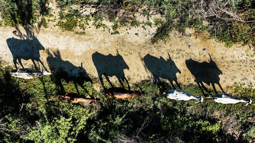 Фотография автора fabio chiari