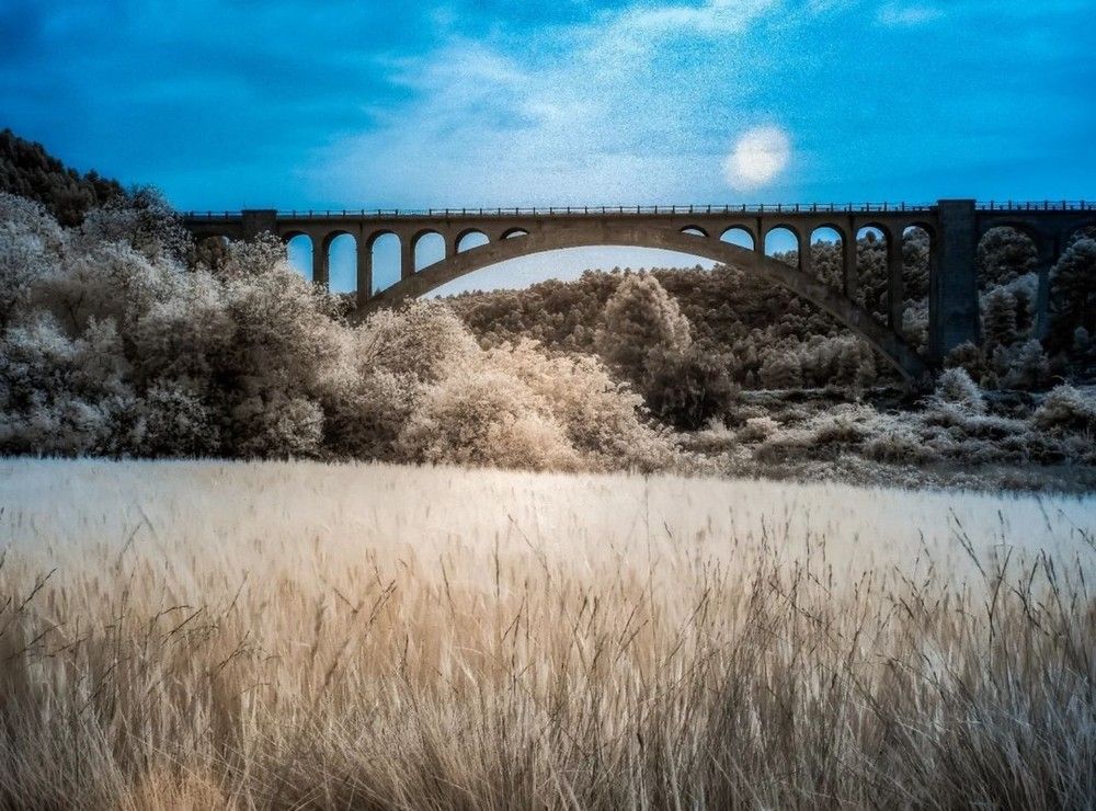 Фотография автора Herraiz Jorge