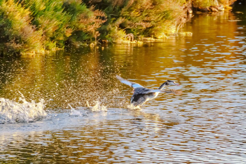 Фотография автора Herraiz Jorge