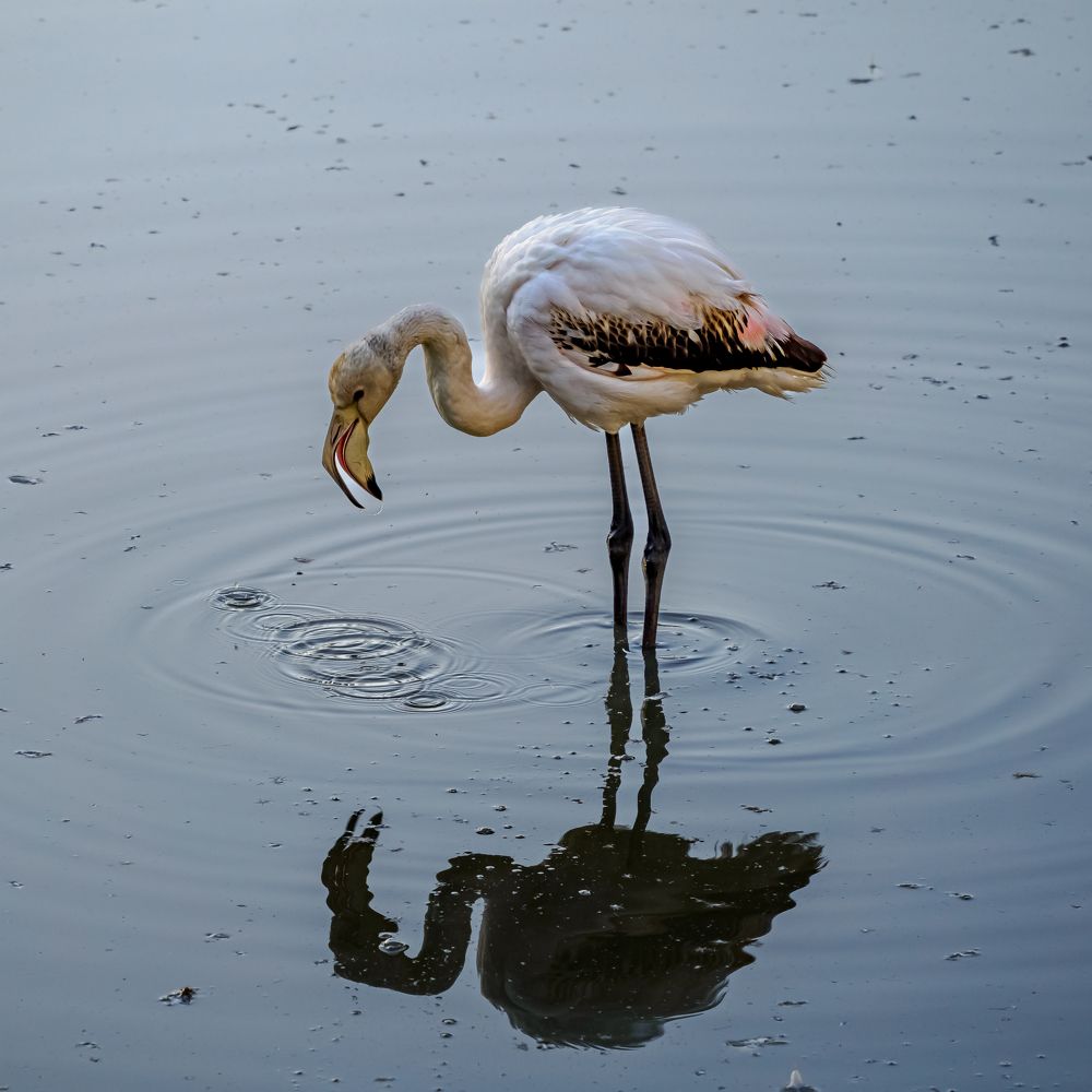 Фотография автора Herraiz Jorge