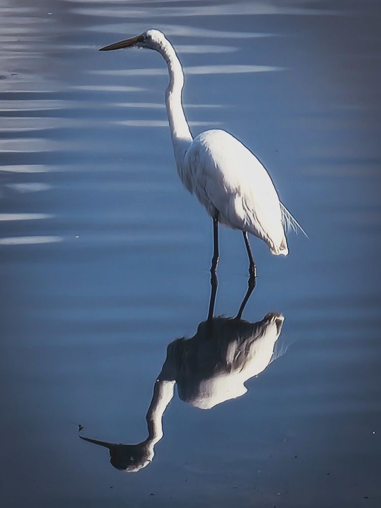 Фотография автора Walfrido Alexandre