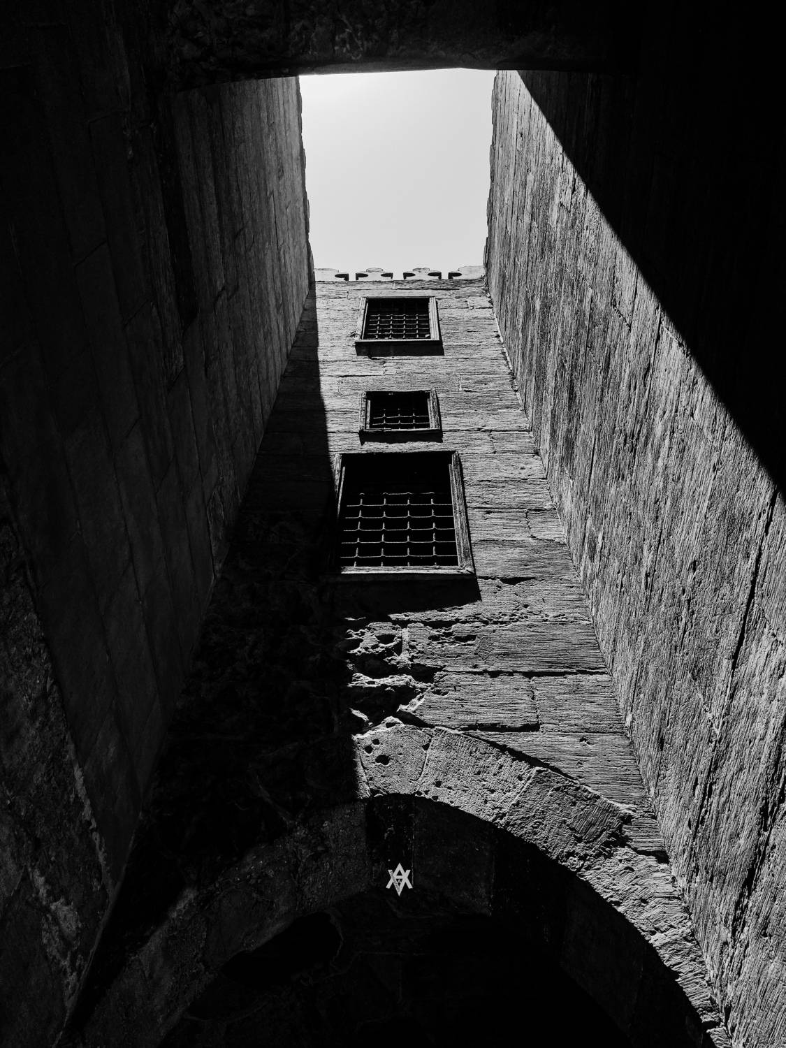 Photo #10961578