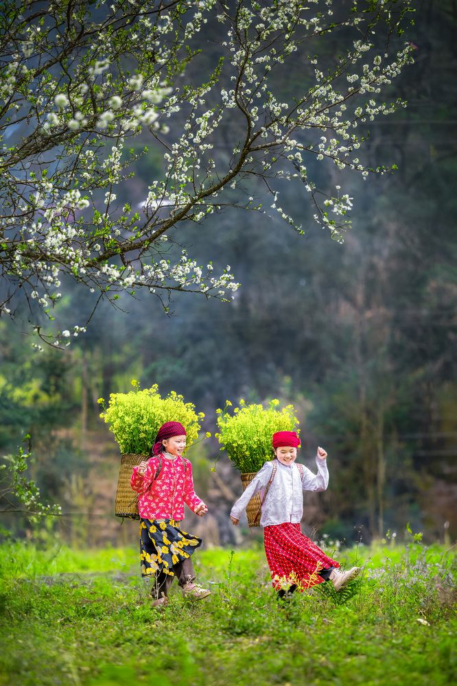 Photograph by Hong Nguyen xuan