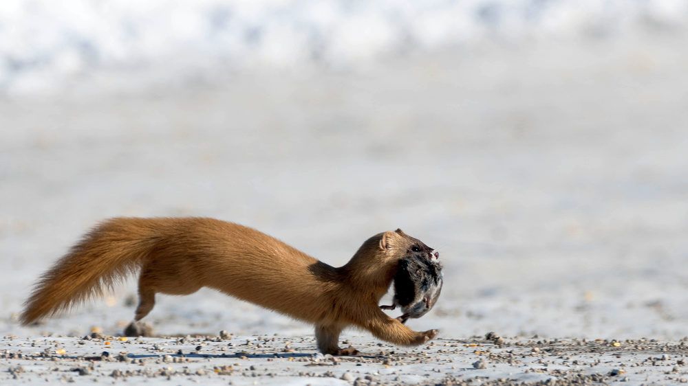 Photograph by константин