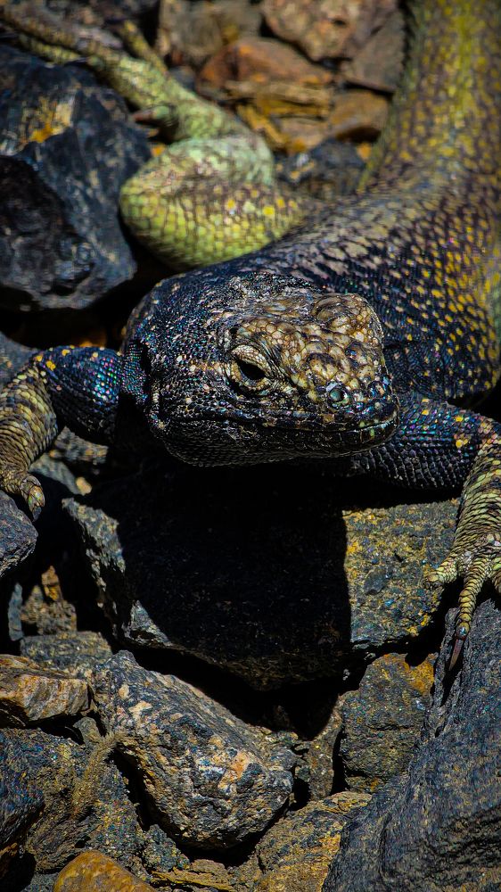 Photograph by Ahinoam