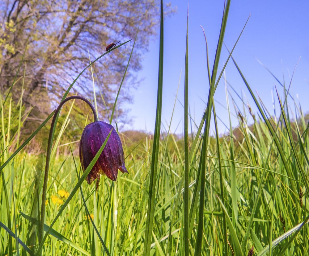Photograph by Цветков Сергей