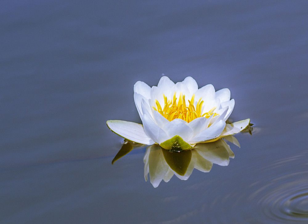 Photograph by Цветков Сергей