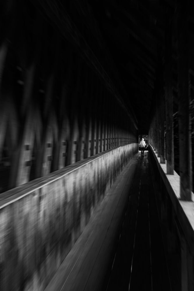 Photograph by Zhenhuan Zhou