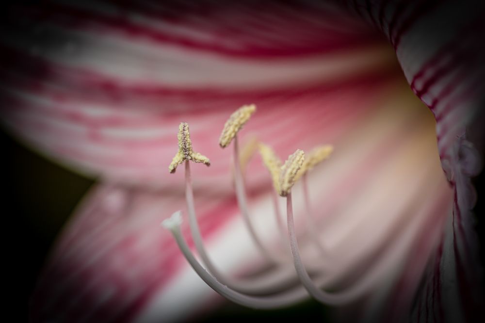 Фотография автора Kong SY