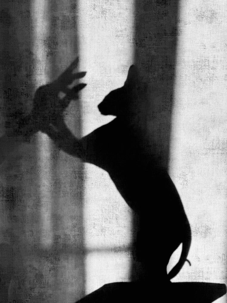 Photograph by Елена Цацулина