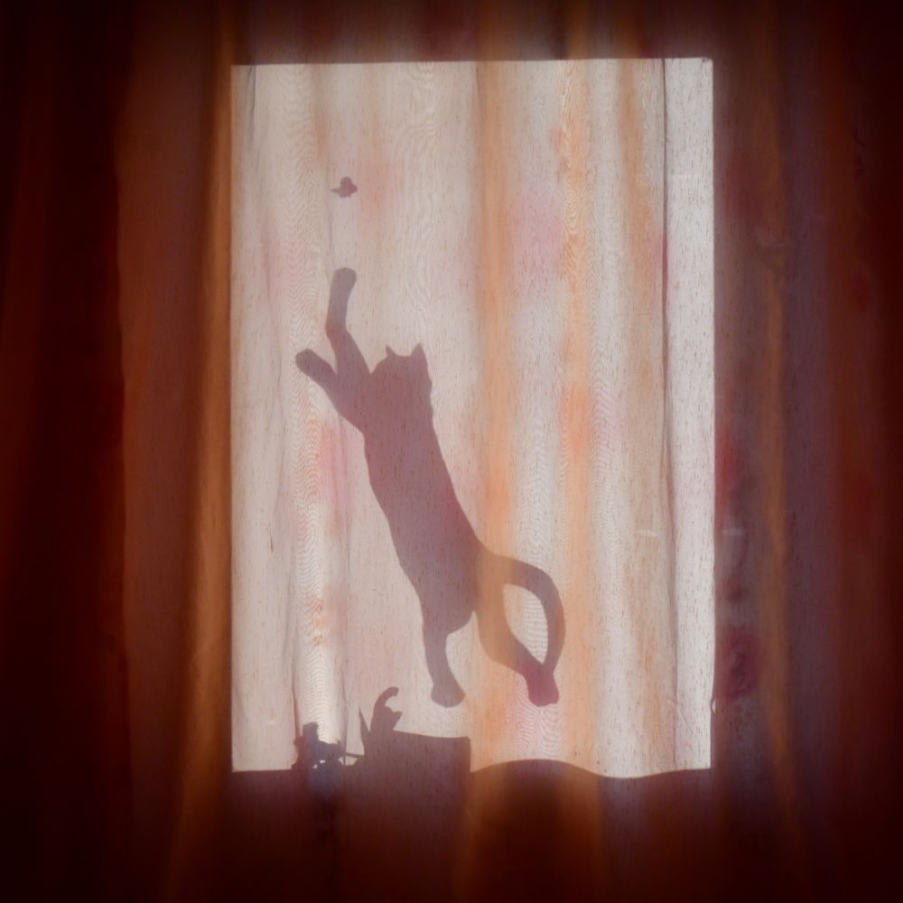 Photograph by Николай Абакумов