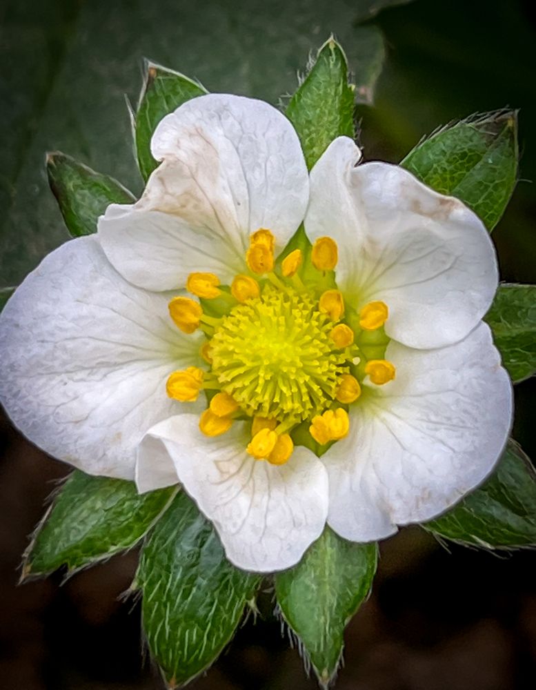 Фотография автора Kong SY