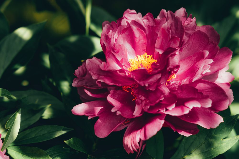 Photograph by Dmitriy Vargaz