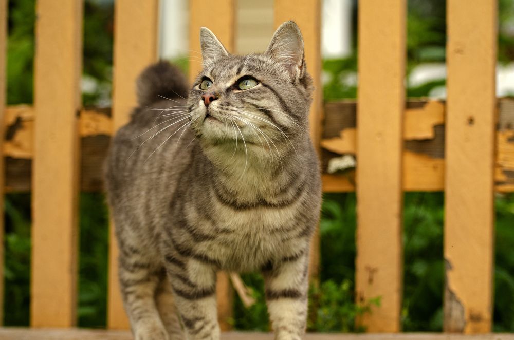 Photograph by Эльвира Быкова