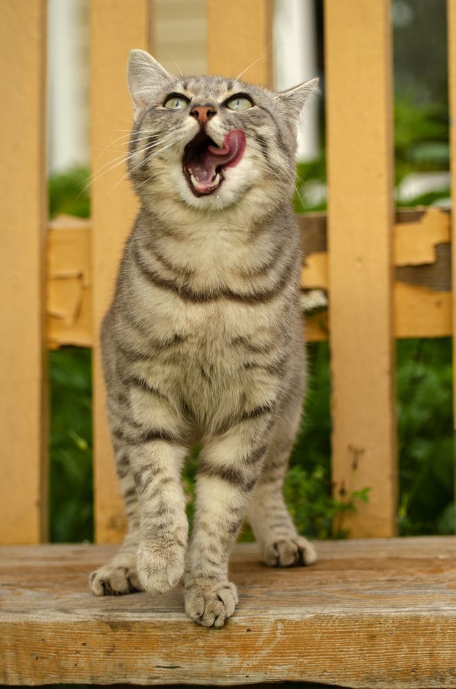 Photograph by Эльвира Быкова