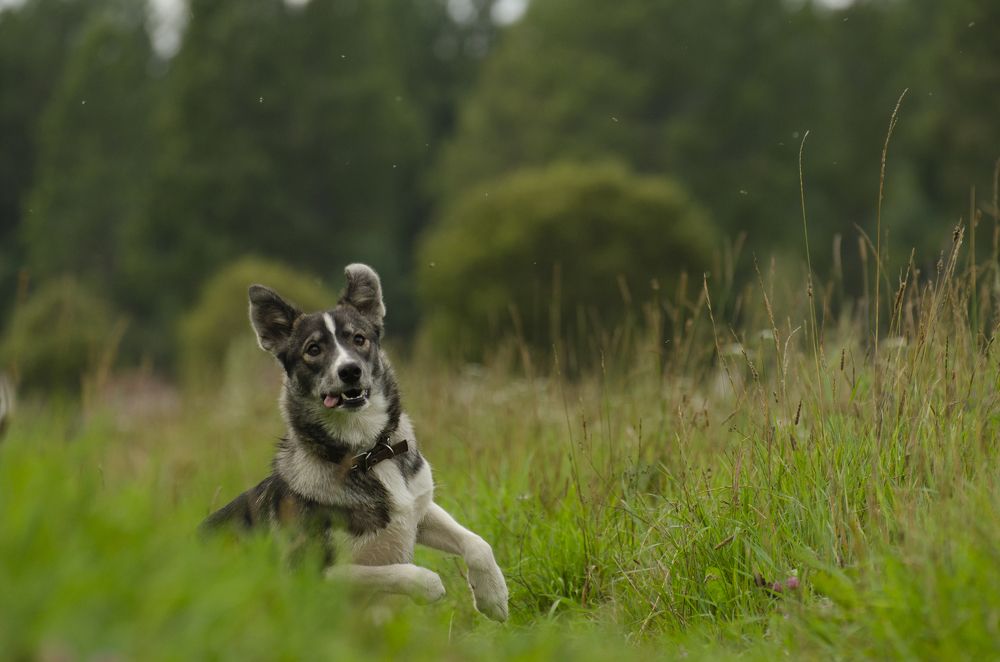 Photograph by Эльвира Быкова