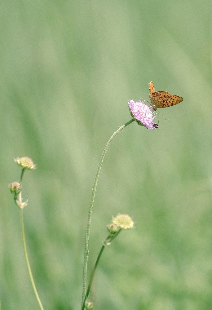 Photograph by Марина Суздаль