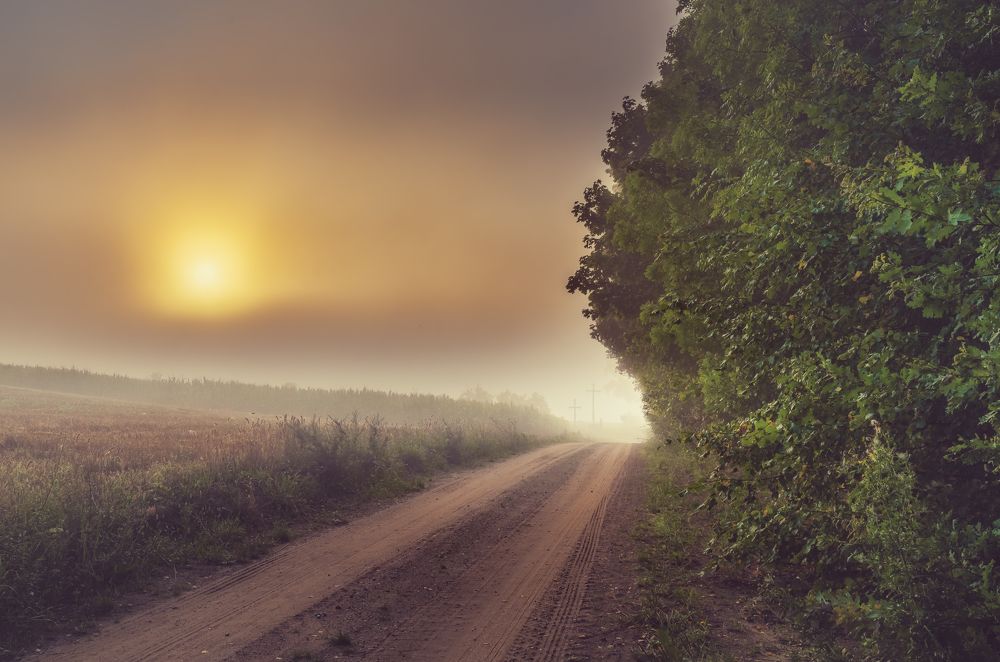 Photograph by Budyta Dariusz