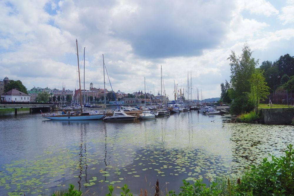 Photograph by Алла Бойко