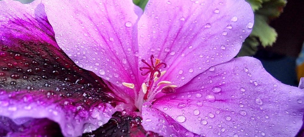 Photograph by Александра Насырова