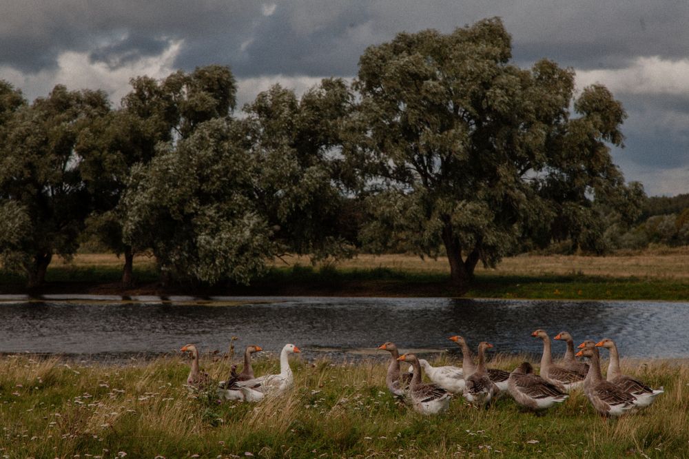 Photograph by Ольга Панова