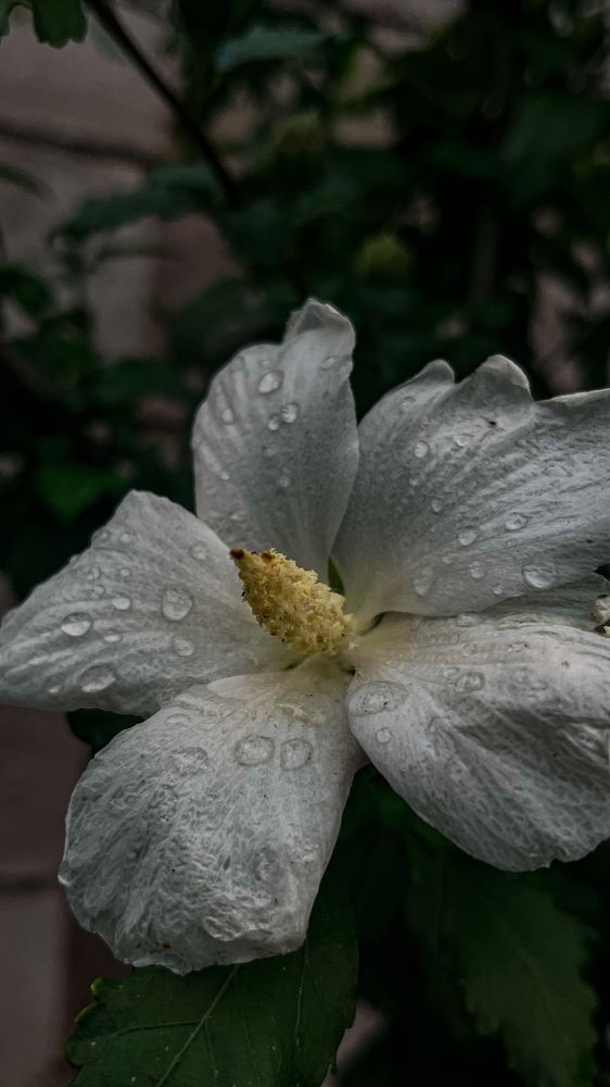 Photograph by Марина Подольная