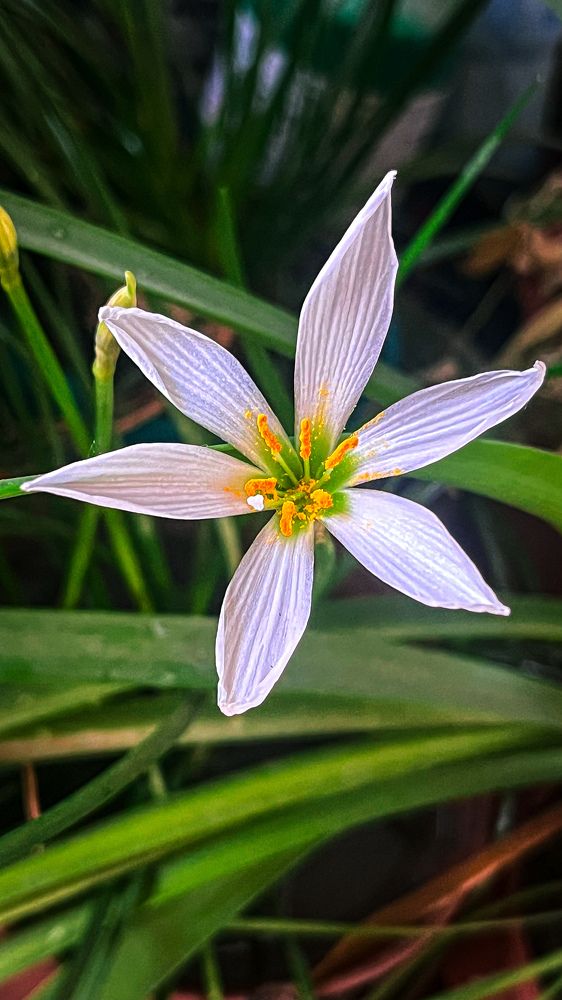 Photograph by Марина Подольная