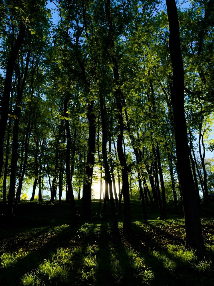 Photograph by Александр Михайлович