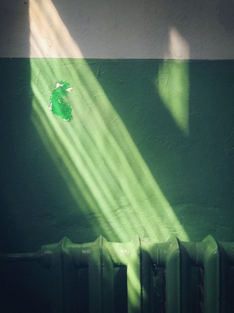 Photograph by Victoria Stoliarenko