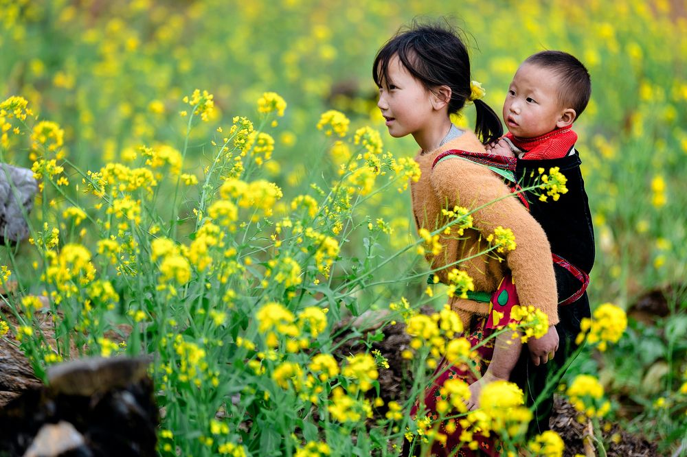 Фотография автора Nghi Le Huu