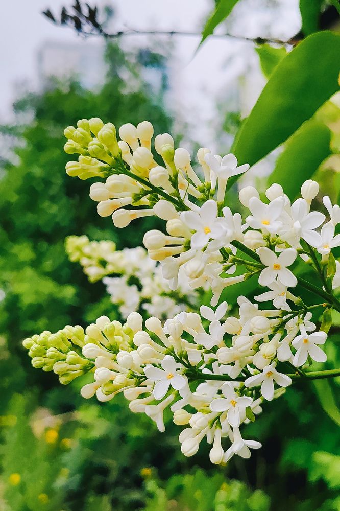 Photograph by Катерина Гущина