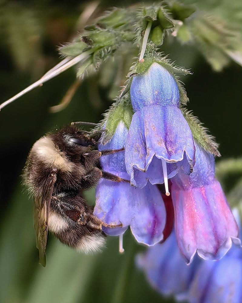 Photograph by Ирина Ветюгова