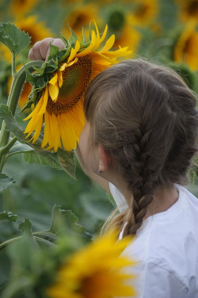 Photograph by Титова Наталья