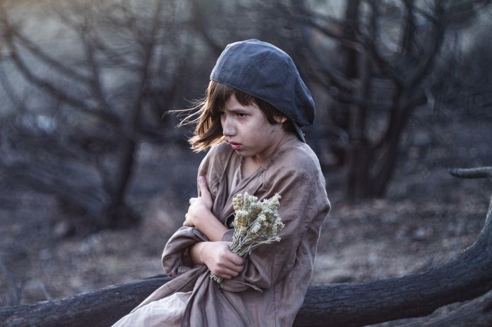 В тёмном лесу