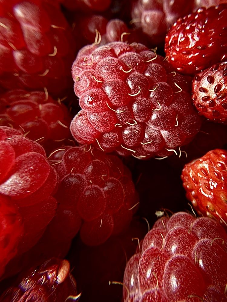 Photograph by Zhanna Kolesnikova