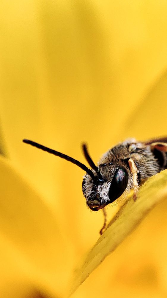 Тра-та-та, привет всем!